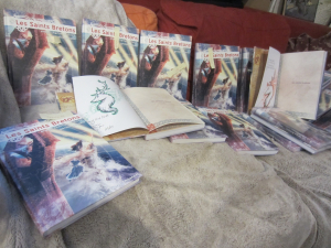 Les Saints Bretons de Genkis et Erwan Chartier